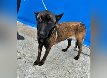 LILA will gefördert werden