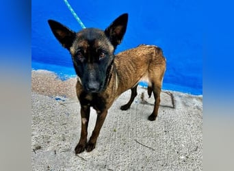 LILA will gefördert werden