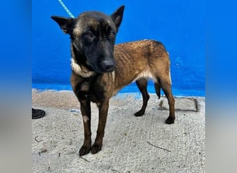 LILA will gefördert werden