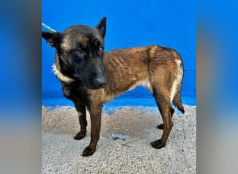 LILA will gefördert werden