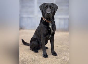 Newton sucht menschliche Nähe