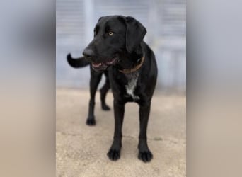 Newton sucht menschliche Nähe