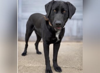 Newton sucht menschliche Nähe