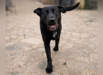 Newton sucht menschliche Nähe