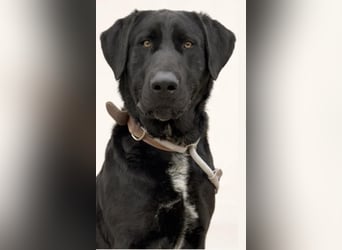 Newton sucht menschliche Nähe