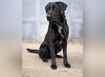 Newton sucht menschliche Nähe