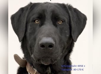 Newton sucht menschliche Nähe