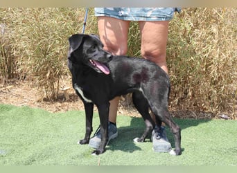 Lua ❤️ sanft und freundlich - lebte in einer Wohnung in der Stadt