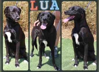 •L•U•A• | lebte in einer Wohnung in der Stadt |