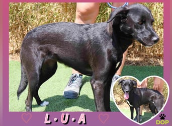 •L•U•A• | lebte in einer Wohnung in der Stadt |