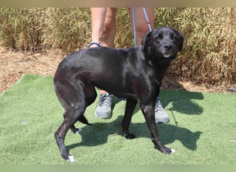 •L•U•A• | lebte in einer Wohnung in der Stadt |