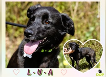 •L•U•A• | lebte früher in einer Wohnung in der Stadt |