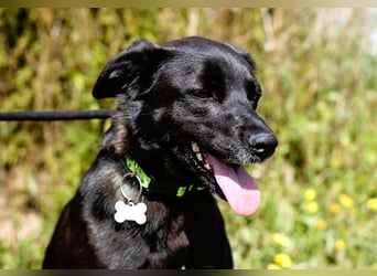 •L•U•A• | lebte früher in einer Wohnung in der Stadt |