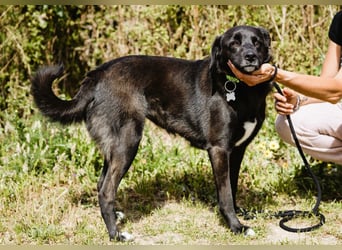 •L•U•A• | lebte früher in einer Wohnung in der Stadt |