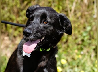 •L•U•A• | lebte früher in einer Wohnung in der Stadt |