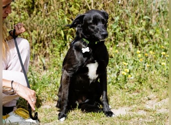 •L•U•A• | lebte früher in einer Wohnung in der Stadt |