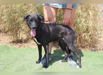 •L•U•A• | lebte in einer Wohnung in der Stadt |