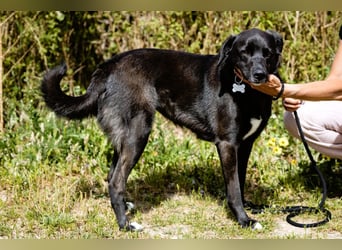 •L•U•A• | lebte früher in einer Wohnung in der Stadt |