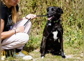 •L•U•A• | lebte früher in einer Wohnung in der Stadt |