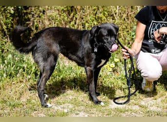 •L•U•A• | lebte früher in einer Wohnung in der Stadt |
