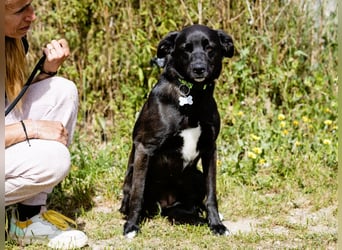 •L•U•A• | lebte früher in einer Wohnung in der Stadt |