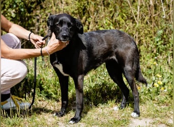 •L•U•A• | lebte früher in einer Wohnung in der Stadt |
