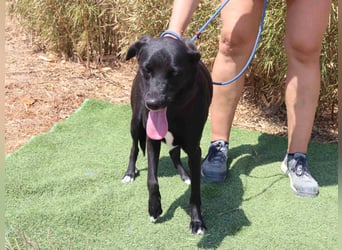 •L•U•A• | lebte in einer Wohnung in der Stadt |