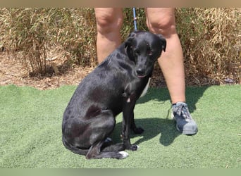 •L•U•A• | lebte in einer Wohnung in der Stadt |