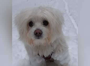 PUMBA sucht Menschen mit großem Herzen