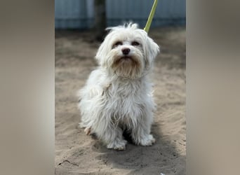 Filippa sucht Menschen, die ihr Halt geben