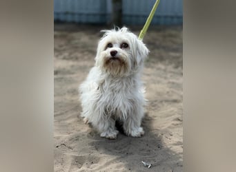 Filippa sucht Menschen, die ihr Halt geben