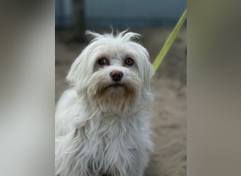 Filippa sucht Menschen, die ihr Halt geben