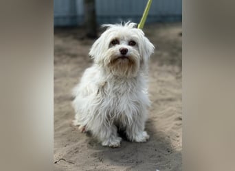 Filippa sucht Menschen, die ihr Halt geben