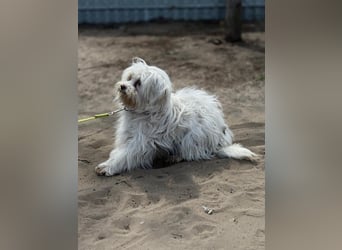 Filippa sucht Menschen, die ihr Halt geben