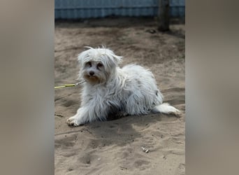 Filippa sucht Menschen, die ihr Halt geben