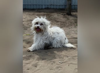 Filippa sucht Menschen, die ihr Halt geben