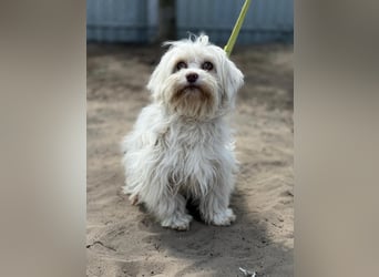 Filippa sucht Menschen, die ihr Halt geben