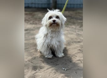 Filippa sucht Menschen, die ihr Halt geben