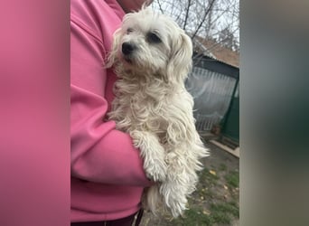 Panna, geboren 05.04.2023, 28cm sucht ihr Glück