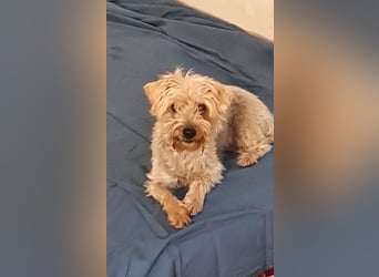 Itzel sucht geduldige und einfühlsame Familie