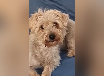 Itzel sucht geduldige und einfühlsame Familie