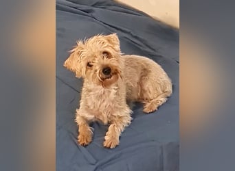 Itzel sucht geduldige und einfühlsame Familie