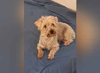 Itzel sucht geduldige und einfühlsame Familie