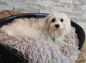 Wer hilft Lubert Vertrauen aufzubauen?