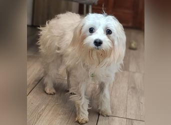 Wer hilft Lubert Vertrauen aufzubauen?