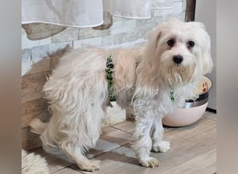 Wer hilft Lubert Vertrauen aufzubauen?