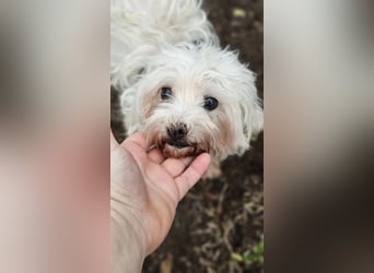 Isabell hat ein liebevolles Wesen