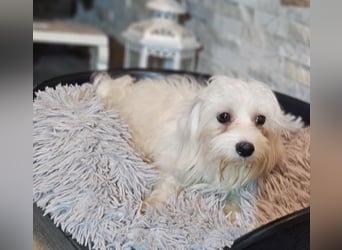 Wer hilft Lubert Vertrauen aufzubauen?