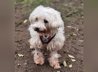 Isabell hat ein liebevolles Wesen