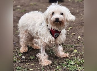 Isabell hat ein liebevolles Wesen